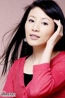 演员杨岚个人资料,光影岁月中的璀璨星辉